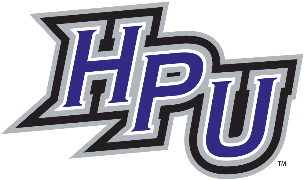 High Point Panthers 2004-Pres Alternate Logo v2 diy fabric transfer